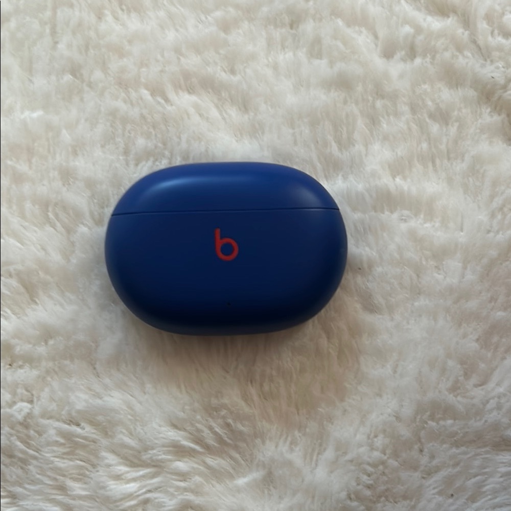 Beats Blue Wireless Earbuds Case